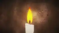 Серия 1