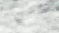 Серия 13