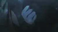 Серия 12