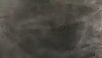 Серия 13