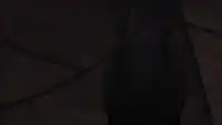 Серия 10