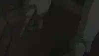Серия 17