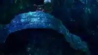 Серия 12