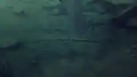 Серия 10