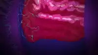 Серия 4