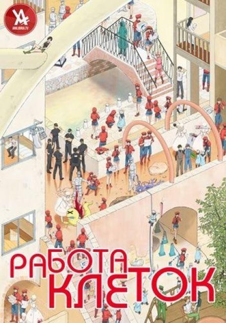 Hataraku Saibou