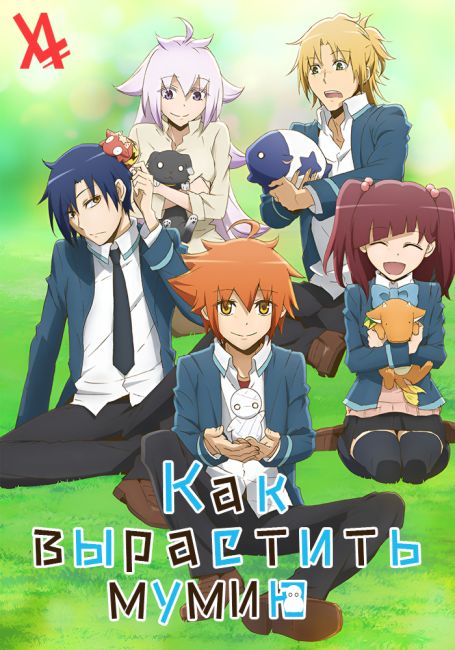 Miira no Kaikata