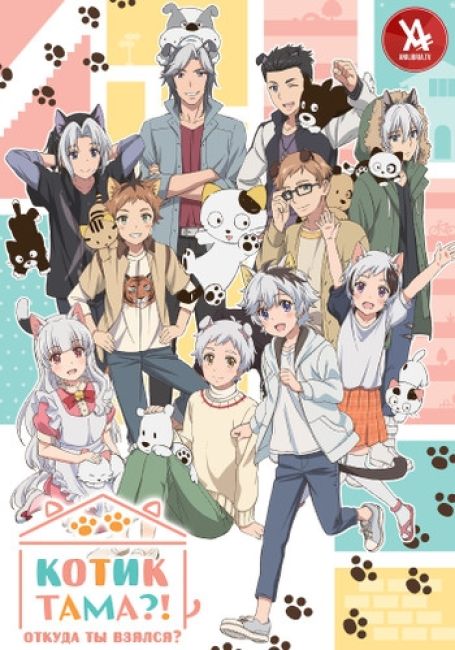 Uchi Tama?! Uchi no Tama Shirimasenka?