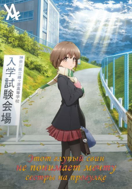 Seishun Buta Yarou wa Odekake Sister no Yume wo Minai